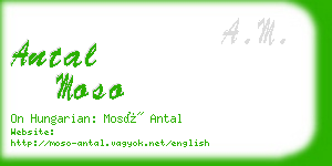 antal moso business card